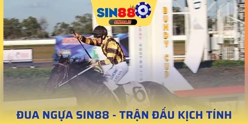 đua ngựa SIN88